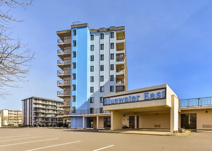 Bluewater E N503 - Surf Dog Ocean City